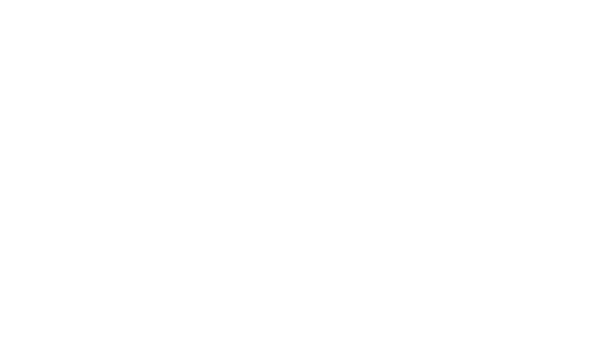 Evolución